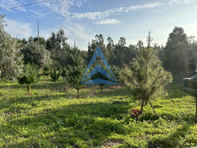 Terreno para Venda em Vermoil Foto 3
