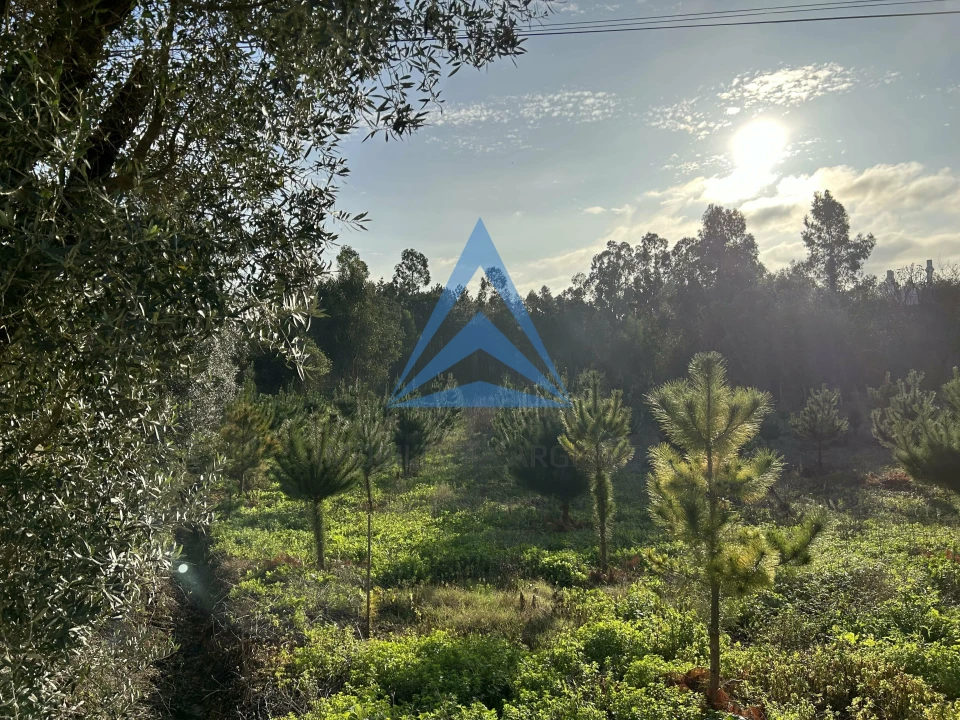 Terreno para Venda em Vermoil Foto 12