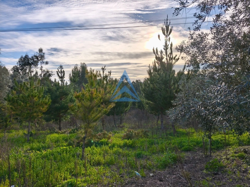 Terreno para Venda em Vermoil Foto 1