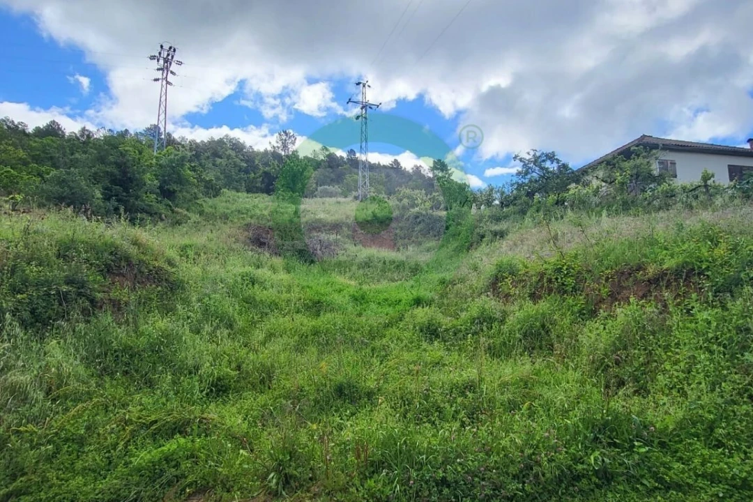 Terreno para Venda em Vinhais Foto 1