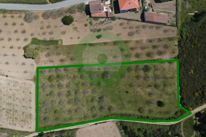 Terreno para Venda em Ervões