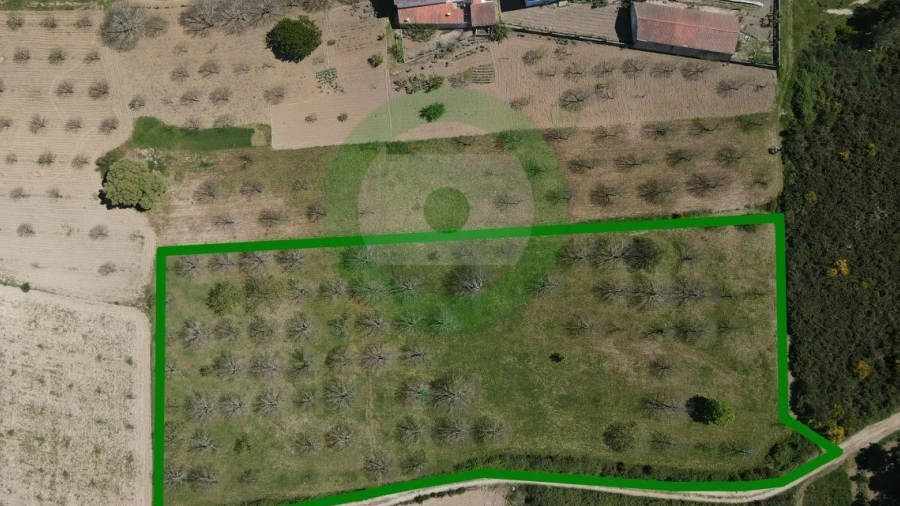 Terreno para Venda em Ervões