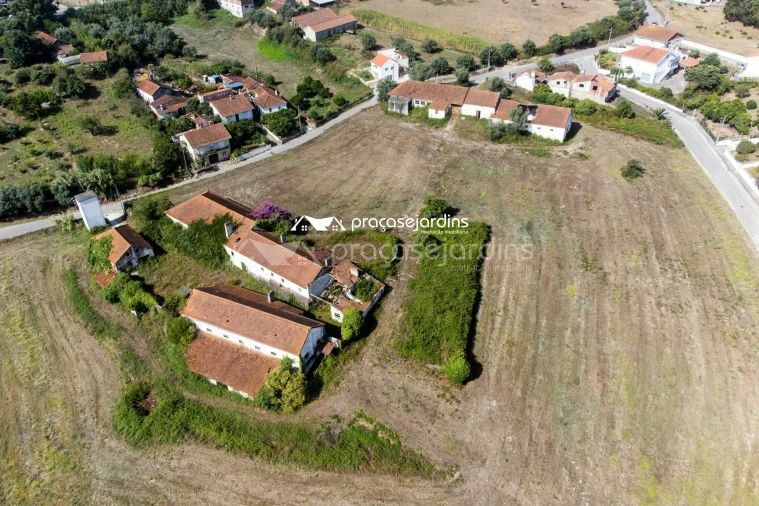 Terreno para Venda em Juncal Foto 8