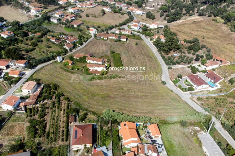 Terreno para Venda em Juncal Foto 13