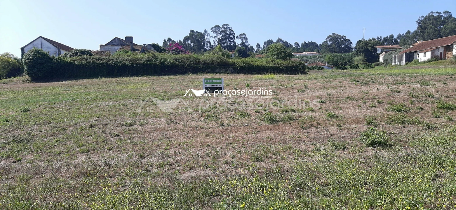 Terreno para Venda em Juncal Foto 1