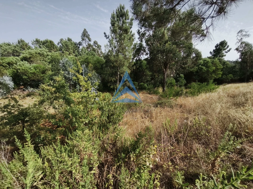 Terreno para Venda em Pombal Foto 11