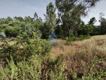 Terreno para Venda em Pombal
