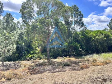 Terreno para Venda em Pombal