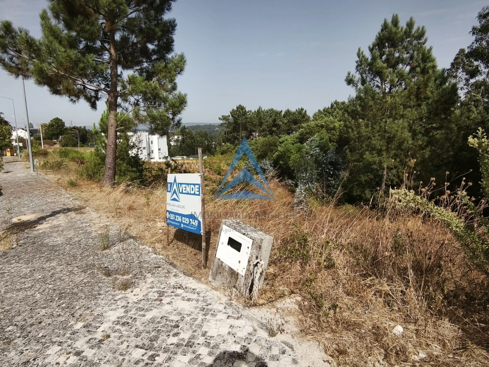 Terreno para Venda em Pombal Foto 8