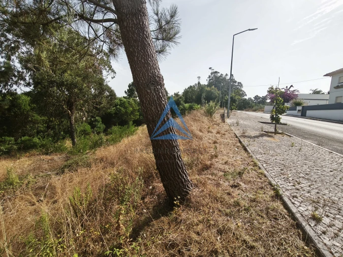 Terreno para Venda em Pombal Foto 10