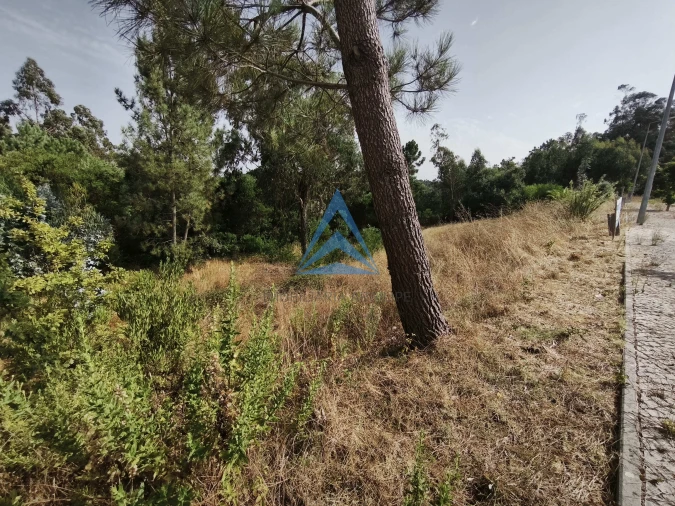 Terreno para Venda em Pombal Foto 12