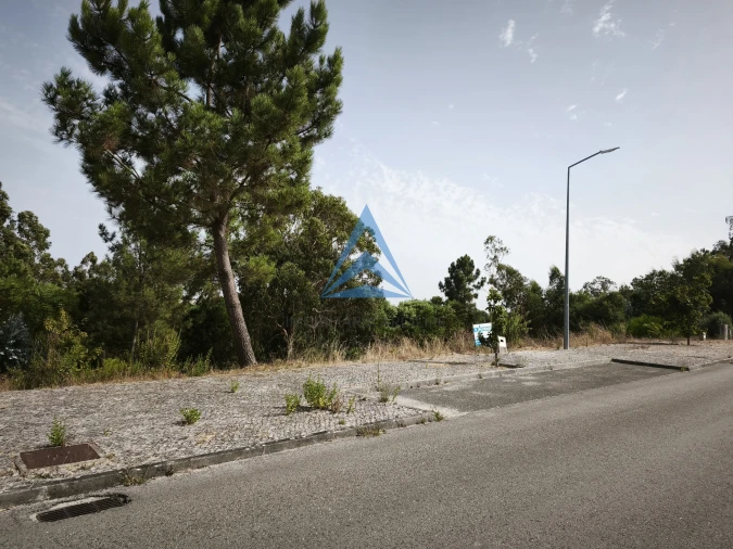 Terreno para Venda em Pombal Foto 4