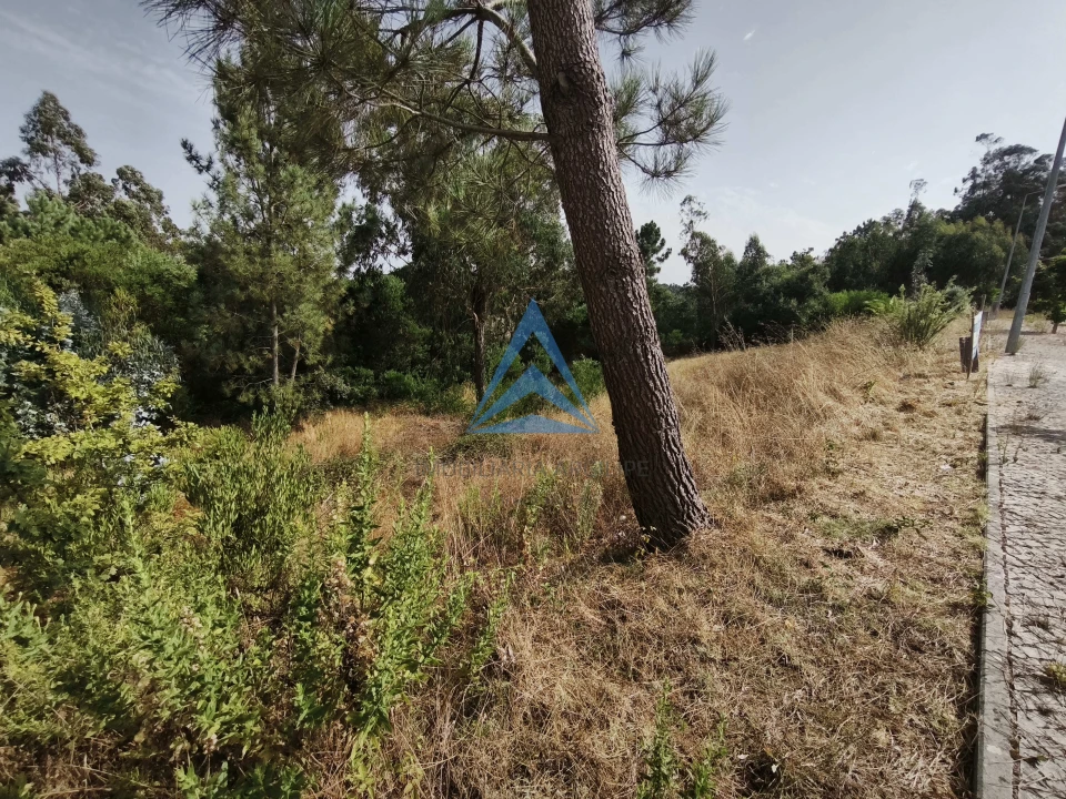 Terreno para Venda em Pombal Foto 12