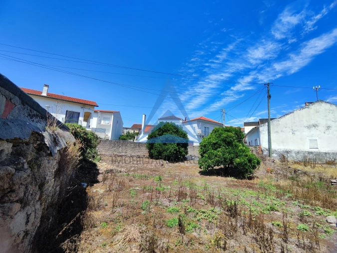Terreno para Venda em Louriçal Foto 3