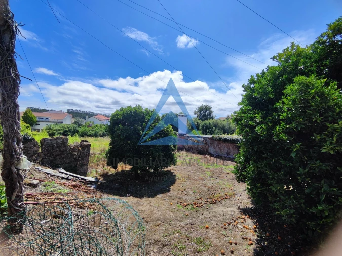 Terreno para Venda em Louriçal Foto 9