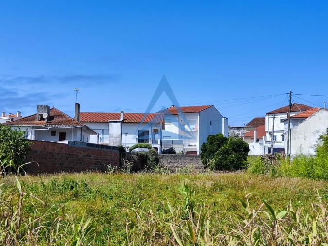 Terreno para Venda em Louriçal Foto 6