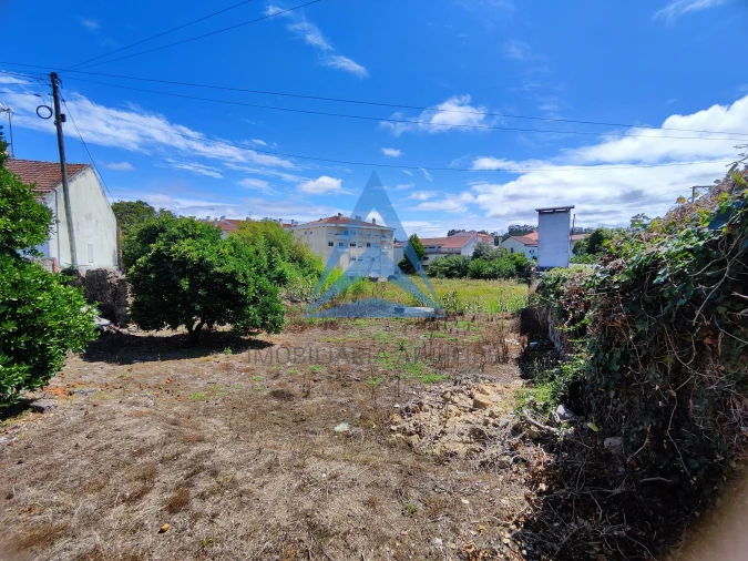 Terreno para Venda em Louriçal Foto 13
