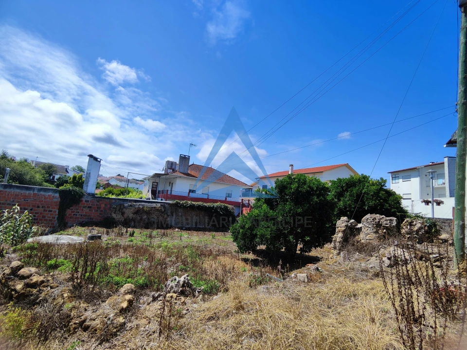 Terreno para Venda em Louriçal Foto 11