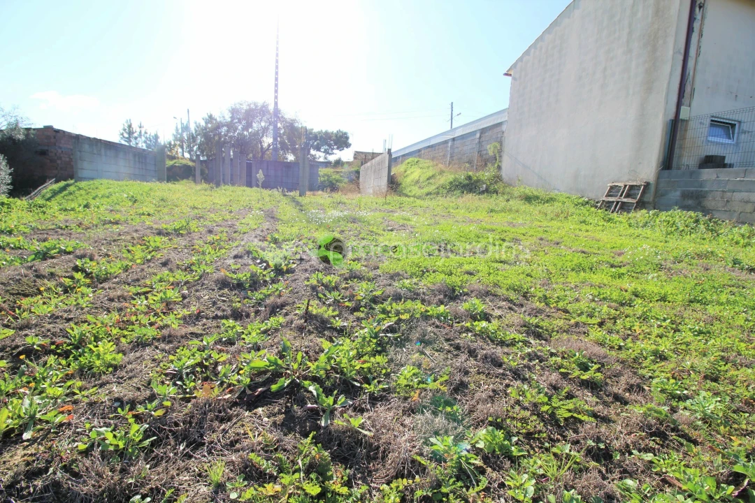 Terreno para Venda em Caranguejeira Foto 4