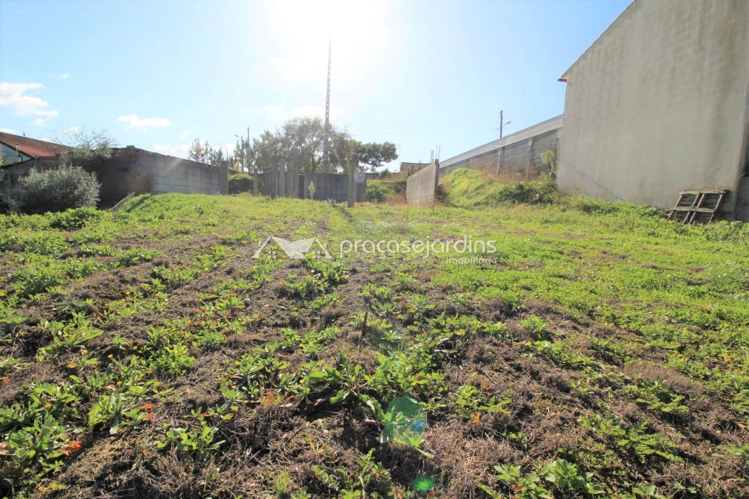 Terreno para Venda em Caranguejeira Foto 3