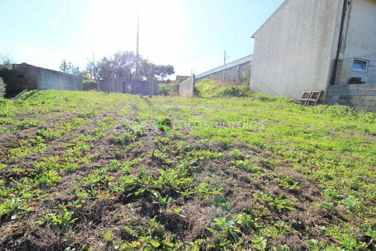 Terreno para Venda em Caranguejeira Foto 4