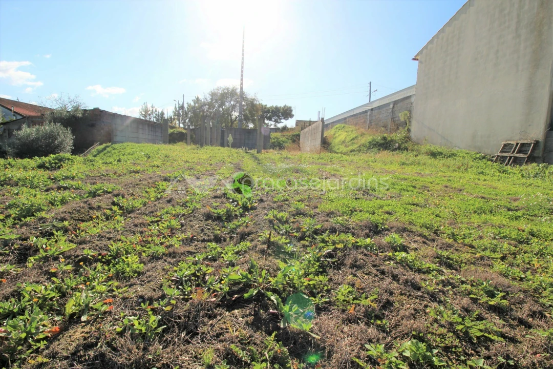 Terreno para Venda em Caranguejeira Foto 3