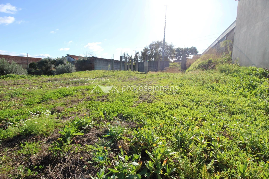 Terreno para Venda em Caranguejeira Foto 1