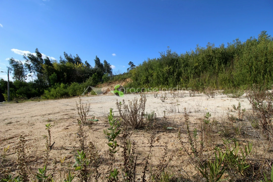 Terreno para Venda em Santa Eufémia e Boa Vista Foto 4