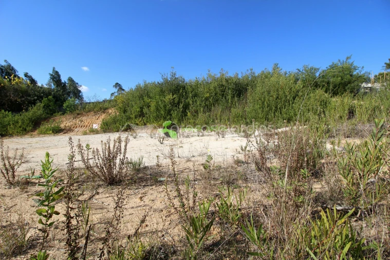 Terreno para Venda em Santa Eufémia e Boa Vista Foto 5