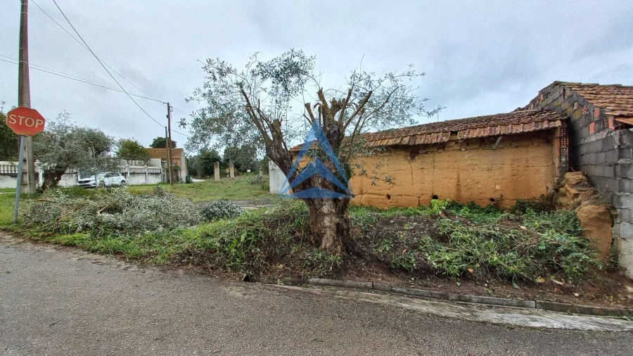 Terreno para Venda em Pombal Foto 5