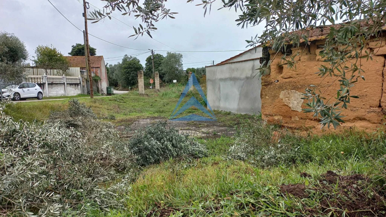Terreno para Venda em Pombal Foto 7