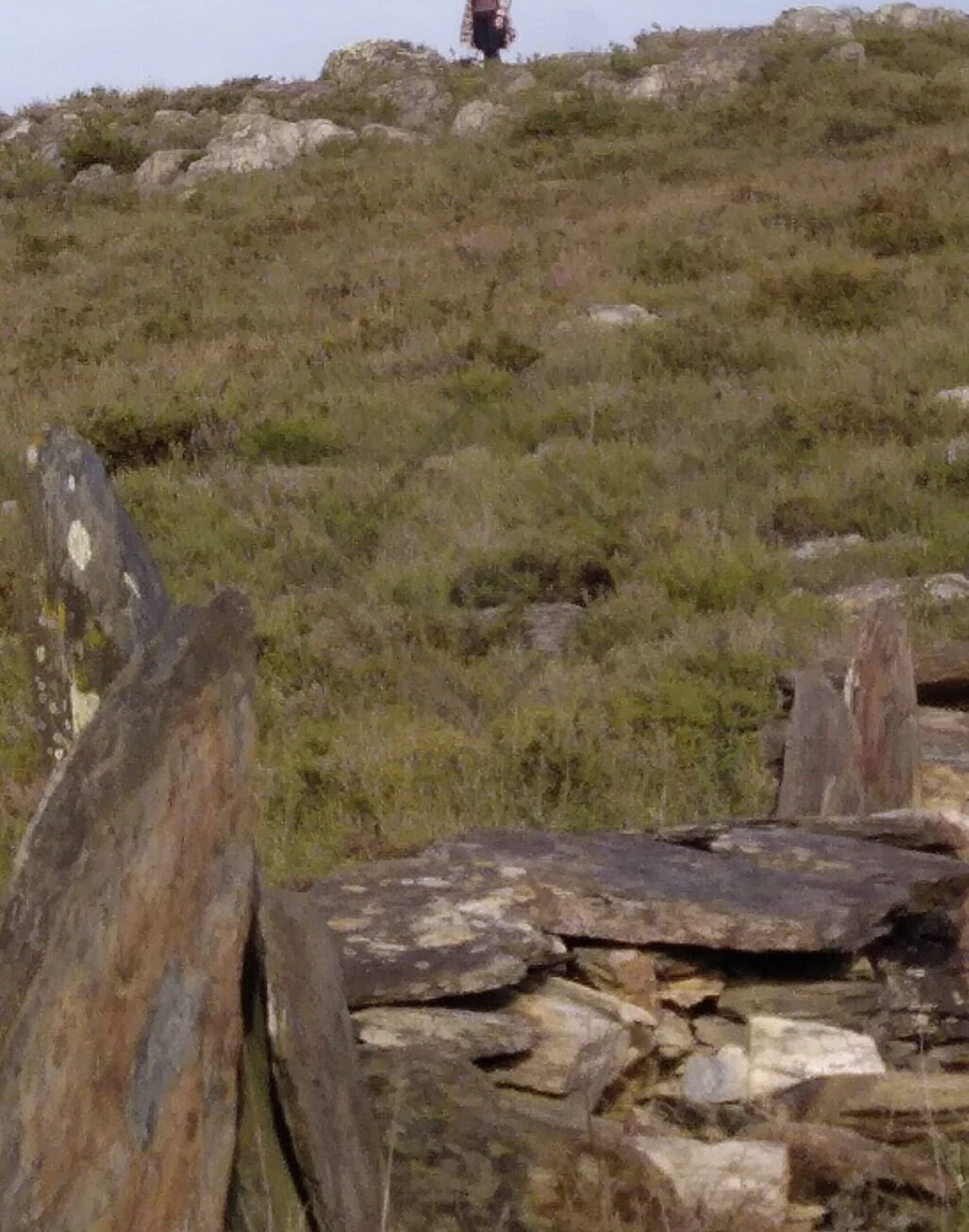 Terreno para Venda em Aguiar de Sousa Foto 1