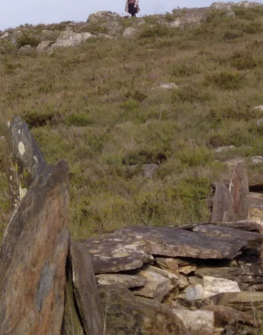 Terreno para Venda em Aguiar de Sousa Foto 1