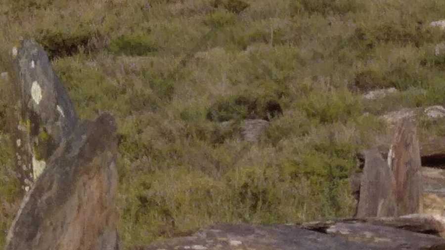 Terreno para Venda em Aguiar de Sousa