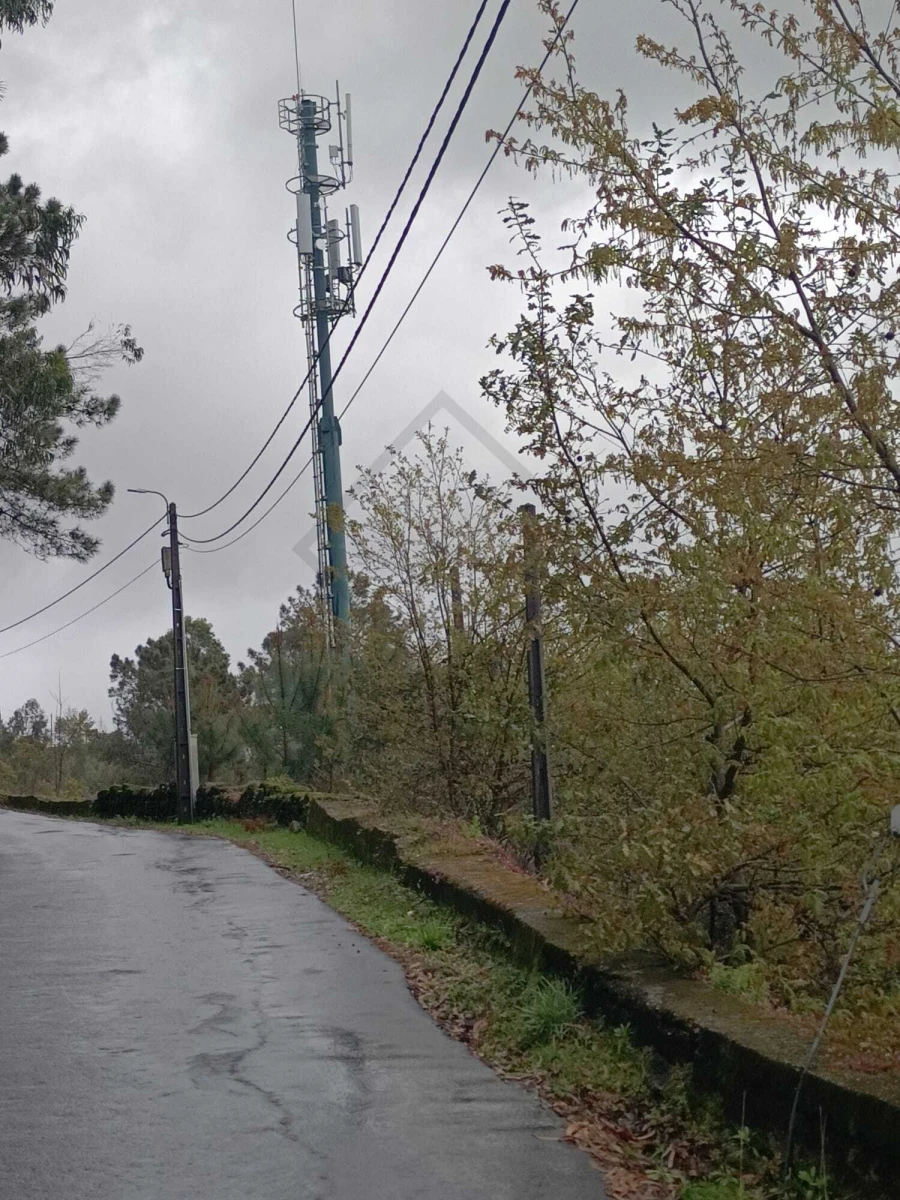 Terreno para Venda em Pico Foto 9