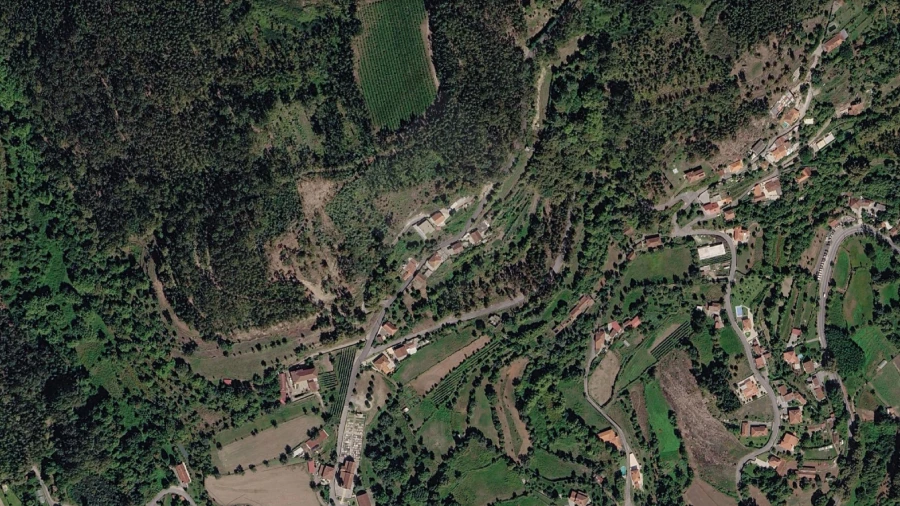 Terreno para Venda em Pico de Regalados, Gondiães e Mós Foto 11