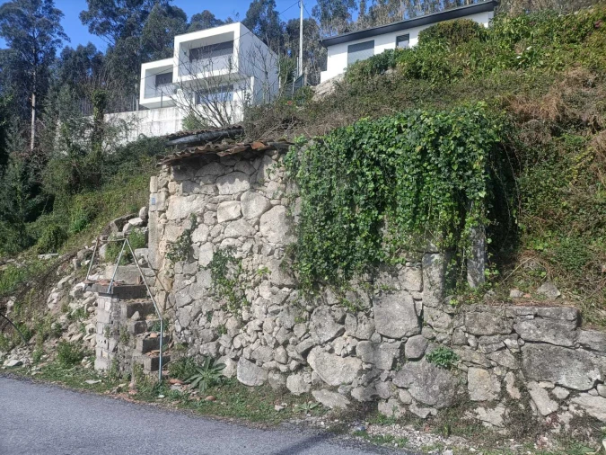 Terreno para Venda em Pico Foto 1