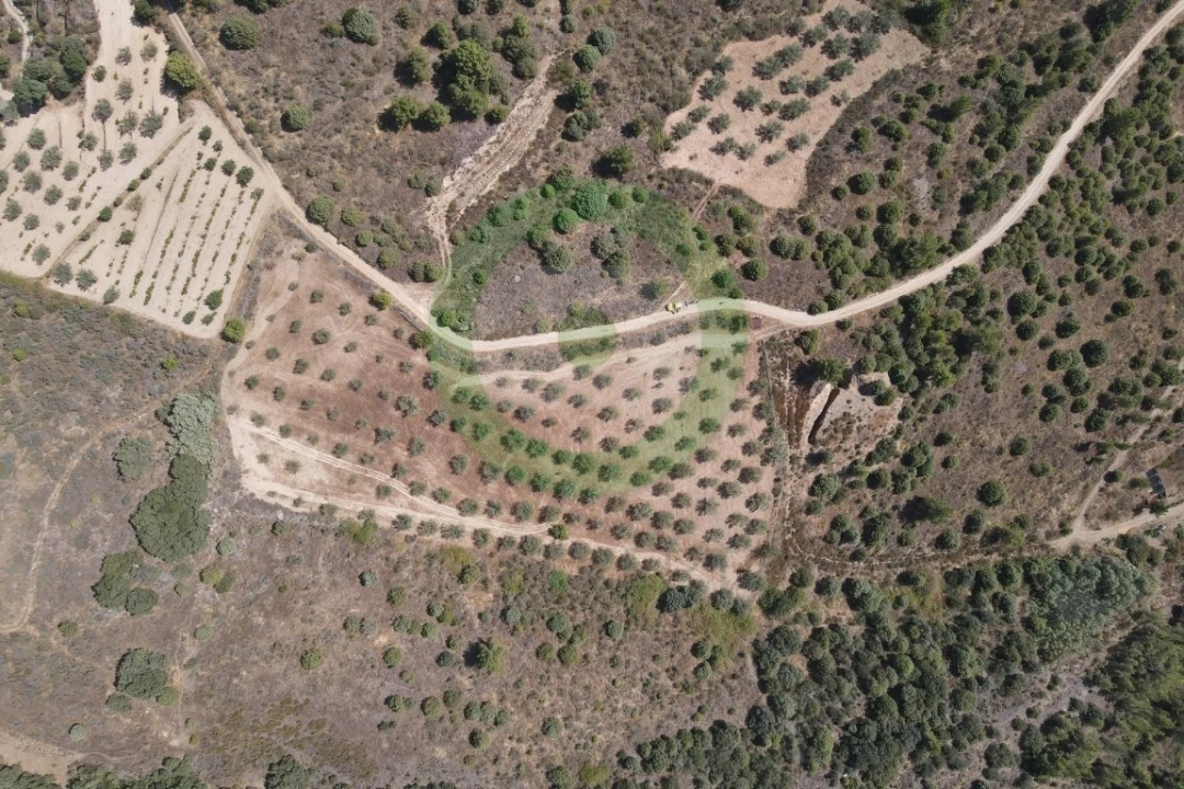 Terreno para Venda em Valpaços e Sanfins Foto 3