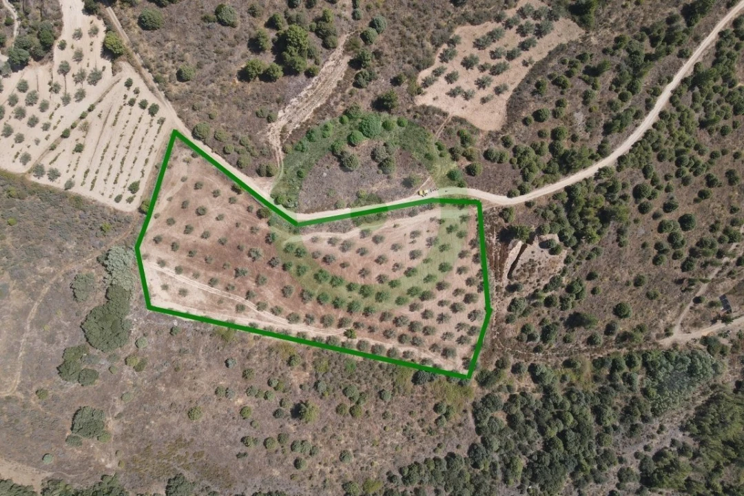 Terreno para Venda em Valpaços e Sanfins Foto 2