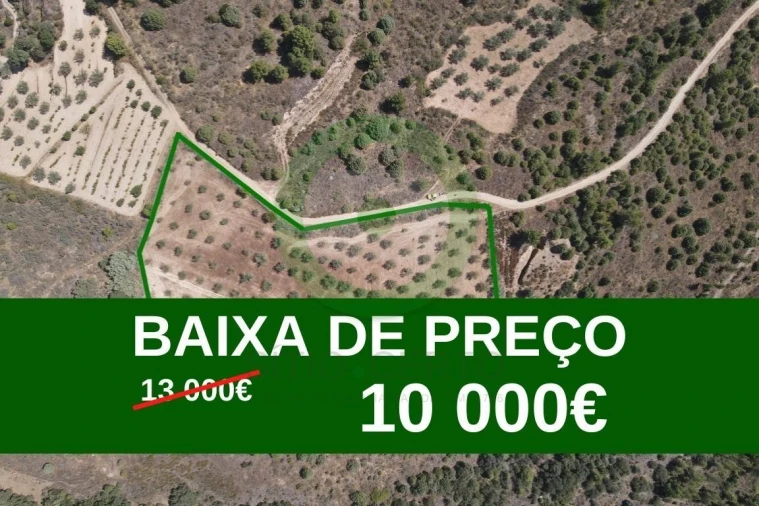 Terreno para Venda em Valpaços e Sanfins