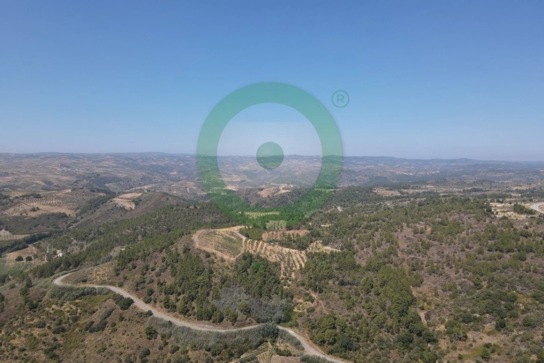 Terreno para Venda em Valpaços e Sanfins Foto 5