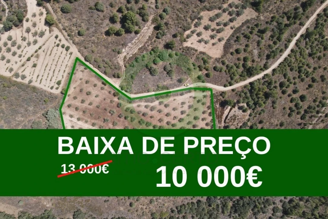 Terreno para Venda em Valpaços e Sanfins Foto 1