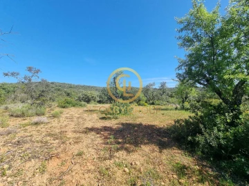 Terreno para Venda em Boliqueime