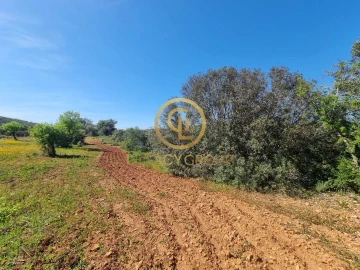 Terreno para Venda em Boliqueime