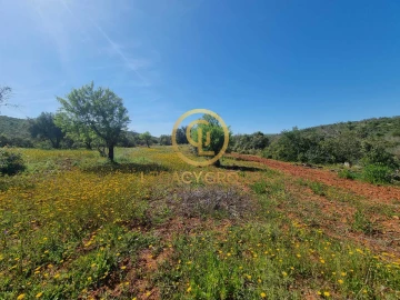 Terreno para Venda em Boliqueime