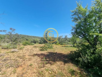 Terreno para Venda em Boliqueime