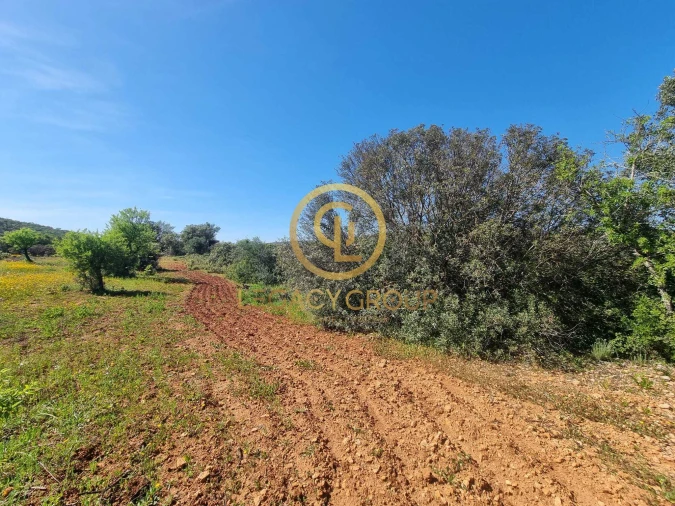 Terreno para Venda em Boliqueime Foto 5