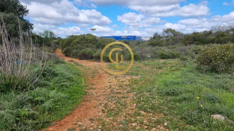 Terreno para Venda em Santa Barbara de Nexe