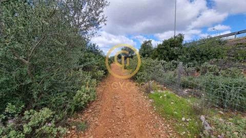 Terreno para Venda em Santa Barbara de Nexe