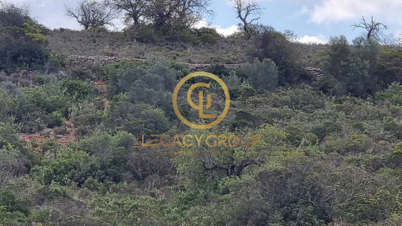 Terreno para Venda em Santa Barbara de Nexe Foto 7